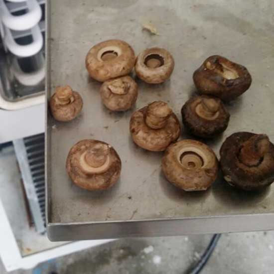 冻干香菇脆