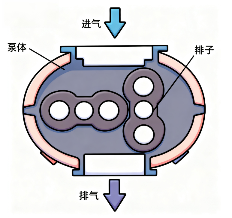 冷冻干燥机除了价格，更该关注什么？冷冻干燥机核心配件之真空系统