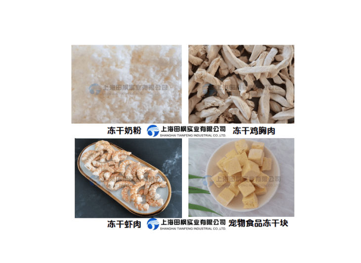 同样的能耗，更高的产出：宠物食品冷冻干燥机规模化生产的能效优化