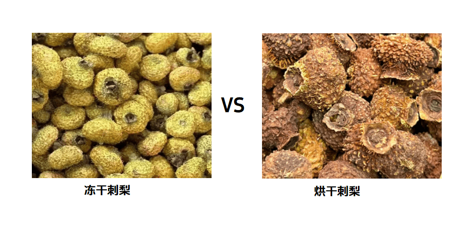 冻干刺梨粉、冻干整颗刺梨生产工艺流程