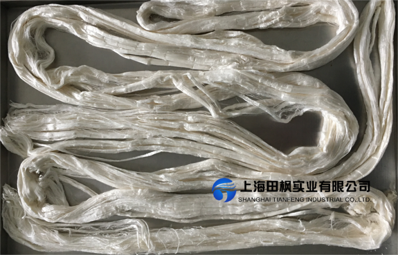 冷冻干燥机保护脆弱文物