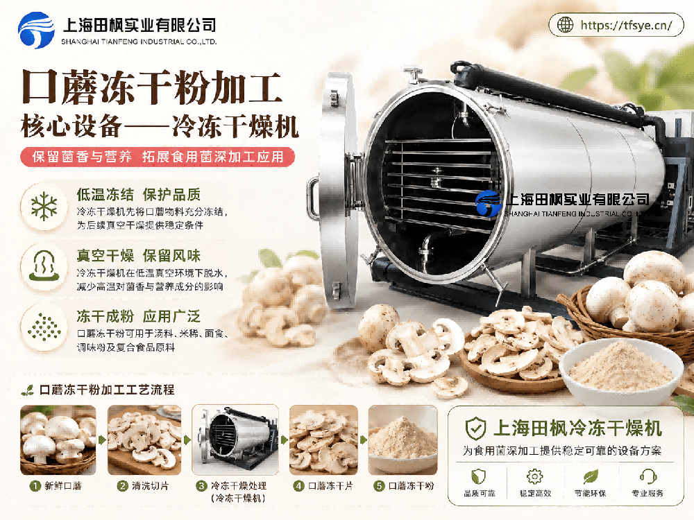 口蘑冻干粉加工与冷冻干燥机应用