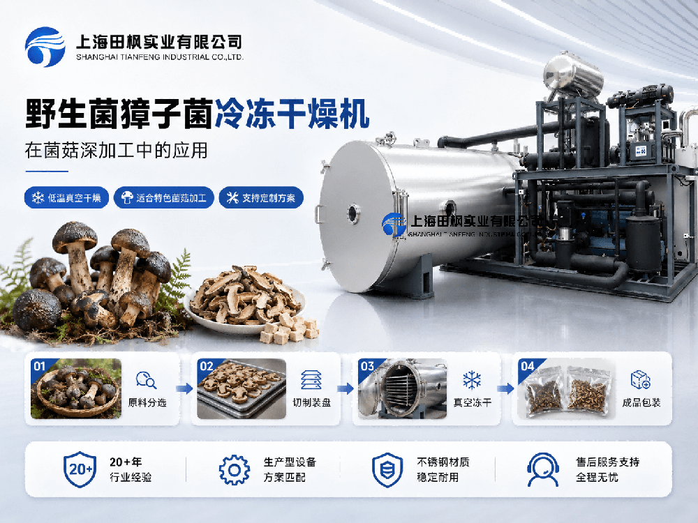 野生菌獐子菌冷冻干燥机在菌菇深加工中的应用