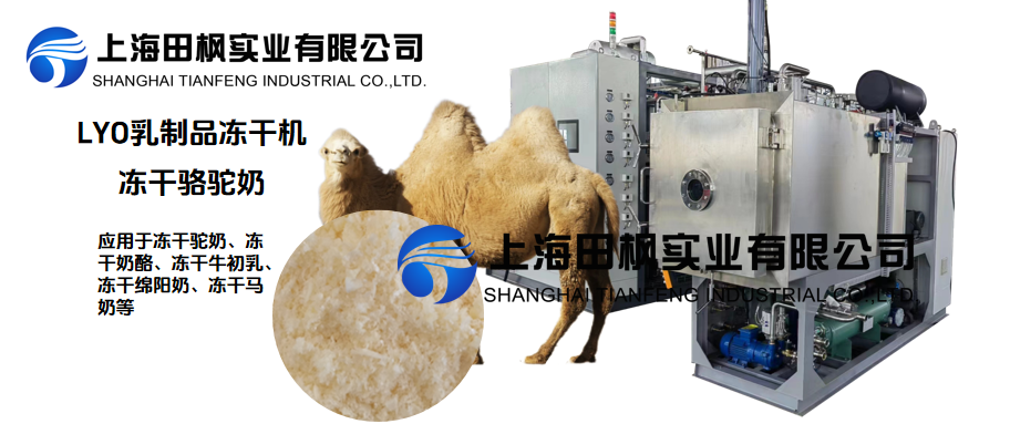 冻干机留住驼奶的原汁原味