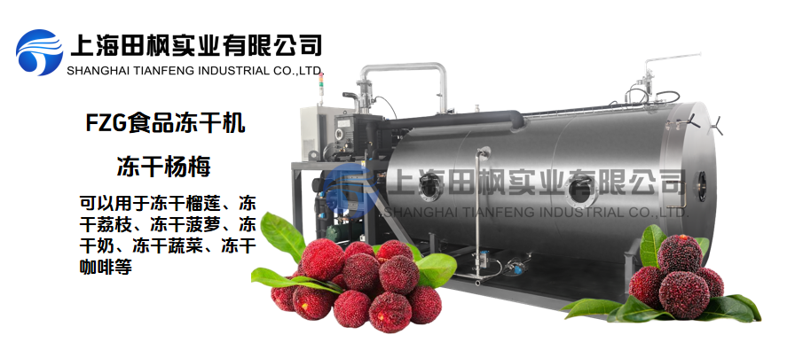 夏季冰鲜，杨梅冻干新保存方式