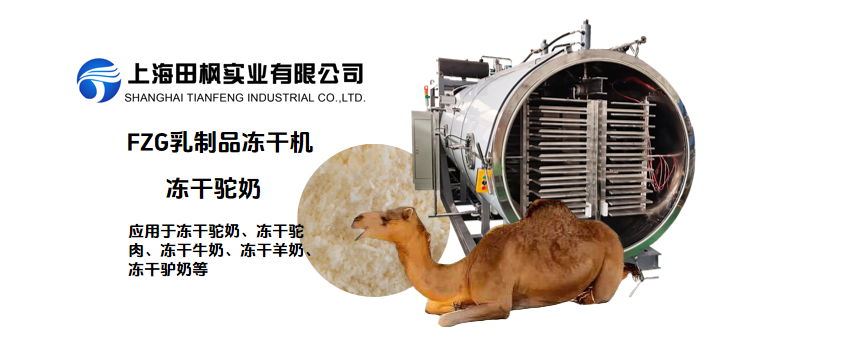 冻干驼奶：沙漠黄金的科技新生